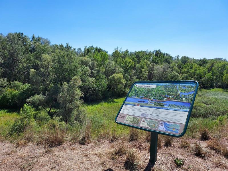 La biodiversité dans la petite jungle Alsacienne