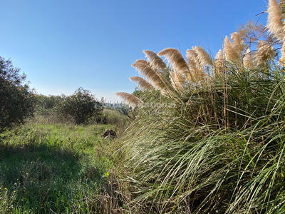 Villa - 65 m² - 2 pièces