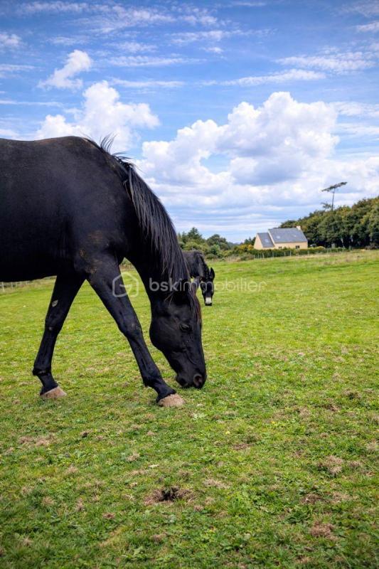 Propriété - 80 m² - 5 pièces