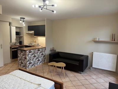 Studio - 31 m² - 1 pièce