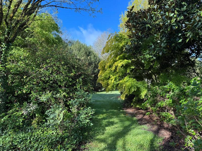 Maison - 304 m² - 9 pièces