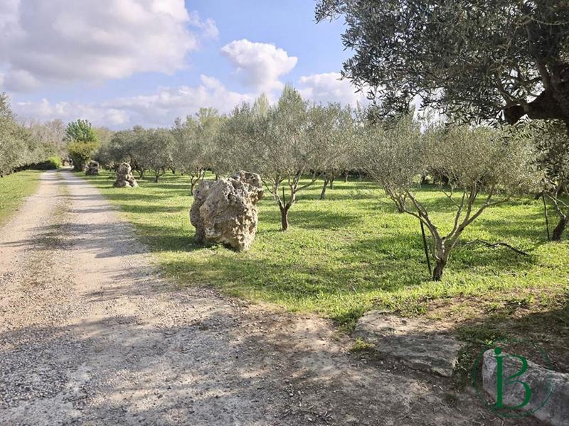 Maison en pierre - 170 m² - 6 pièces