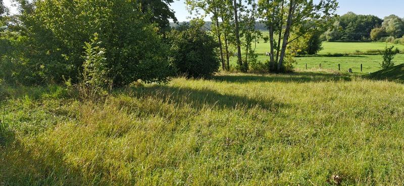 Terrain constructible - 1 321 m²