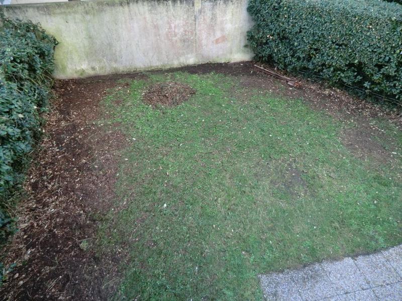 Maison - 32 m² - 2 pièces