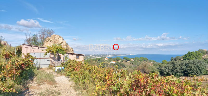 Terrain agricole - 18 917 m²