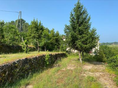 Terrain - 914 m²