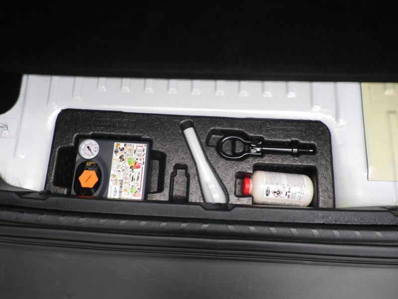 Ford EcoSport 1.0 Ecoboost 100 Bv6 Trend / E85