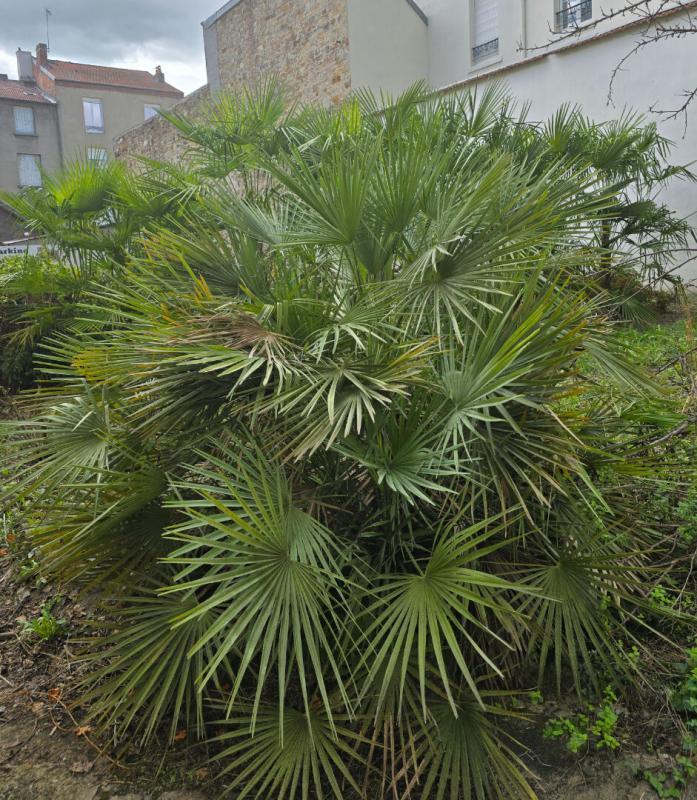 Appartement - 90 m² - 5 pièces