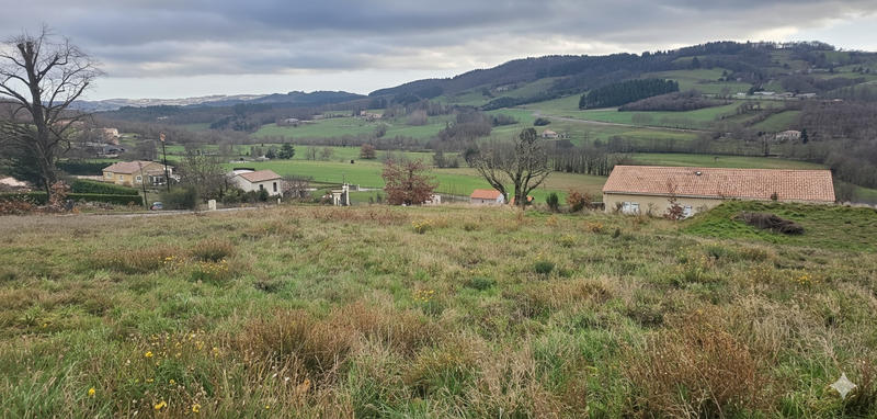 Terrain - 1 285 m²