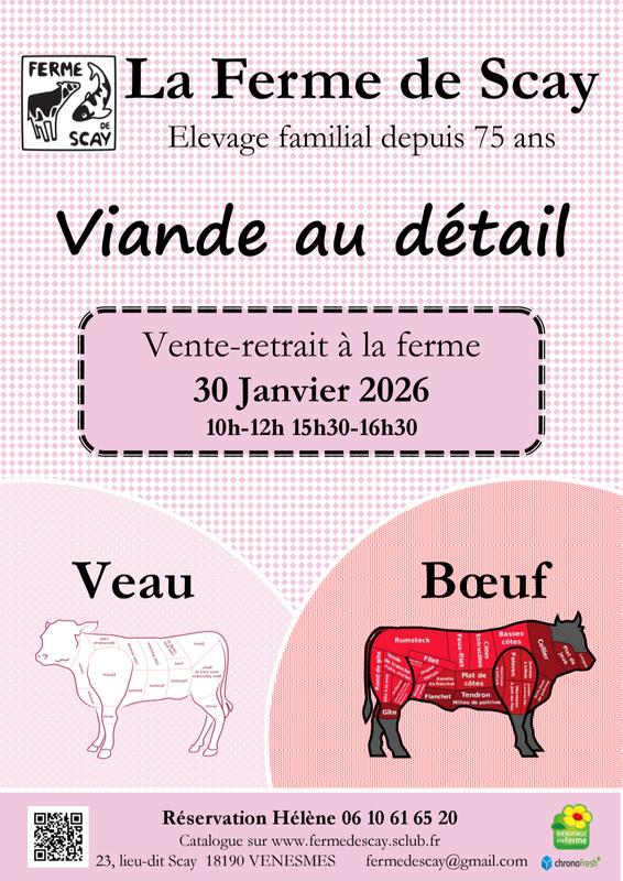 Vente de viande bovine et viande de veau de lait