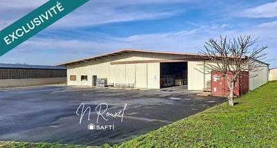 Local commercial - 1 000 m² - 15 pièces