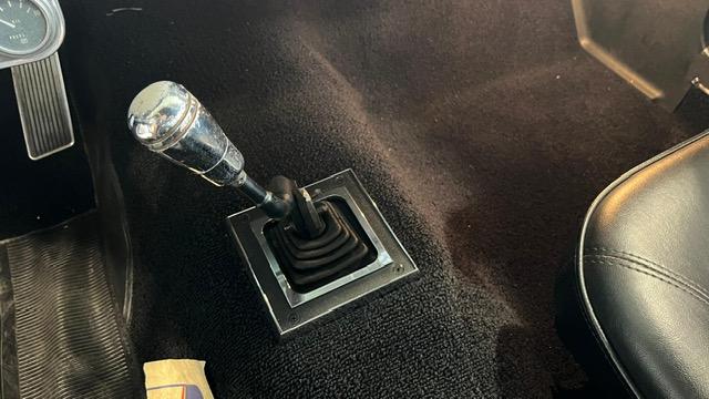 Ford Mustang Fastback Clone Gt 350 1965