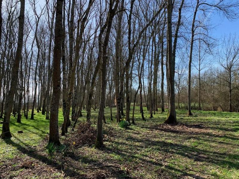 Terrain de loisirs - 3 220 m²