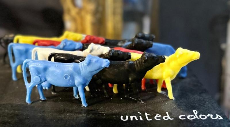 Marguerite - les petites vaches de Belin