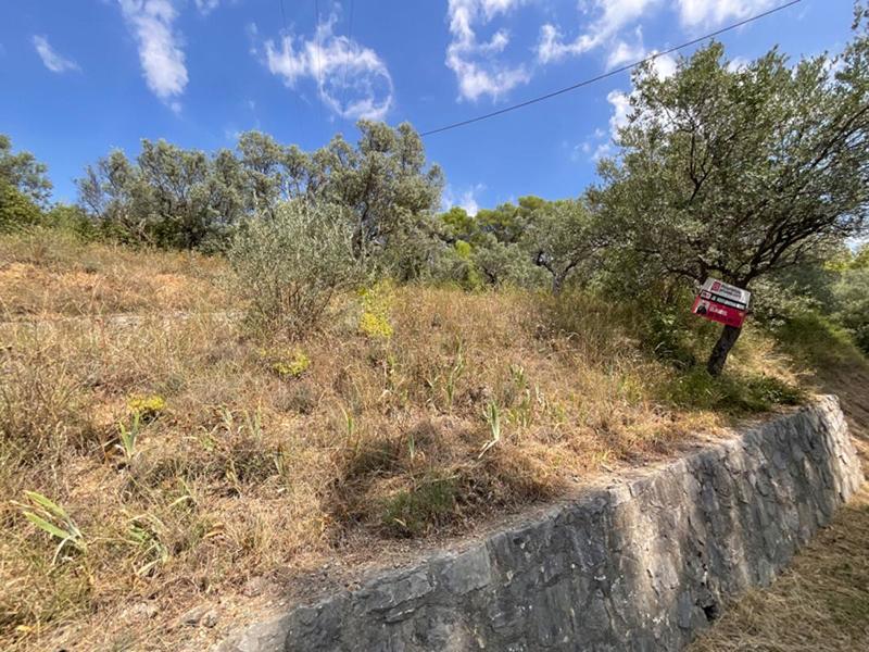 Terrain constructible - 3 015 m²