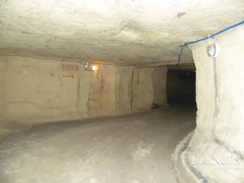 Local commercial - 10 000 m²