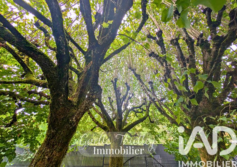 Maison de ville - 170 m² - 7 pièces