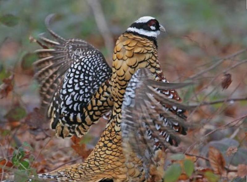 Maison - 150 m² - 4 pièces