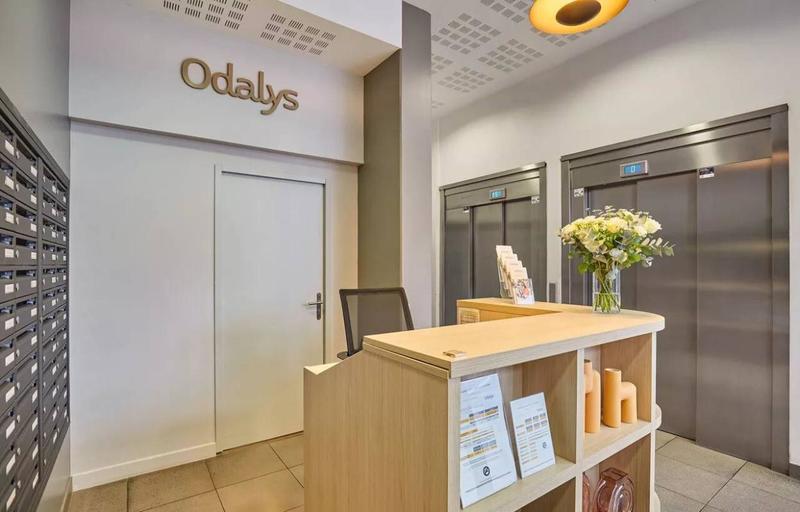 Studio - 20 m² - 1 pièce