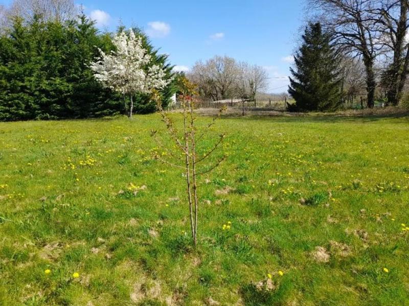 Maison en pierre - 265 m² - 7 pièces