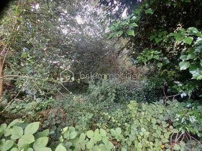 Terrain de loisirs - 7 000 m²