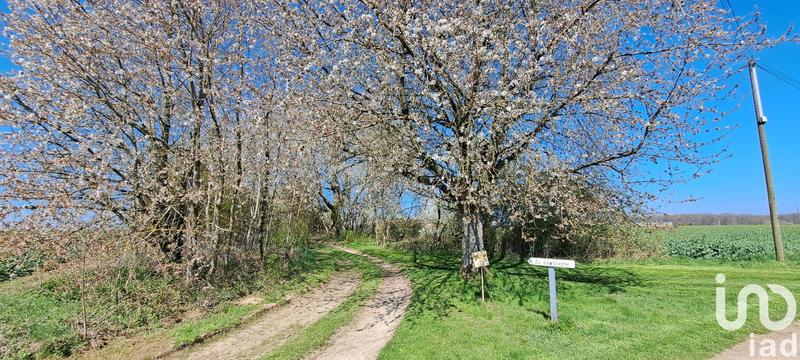 Maison - 66 m² - 2 pièces