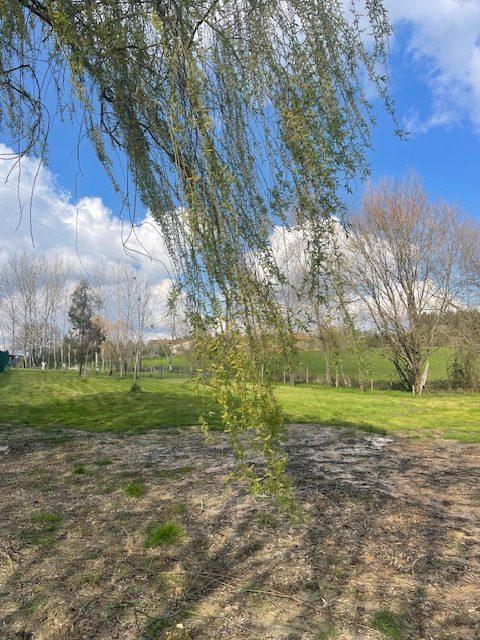 Maison - 262 m² - 7 pièces