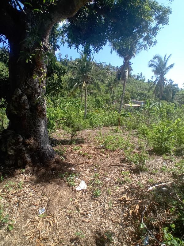 Terrain constructible - 596 m²