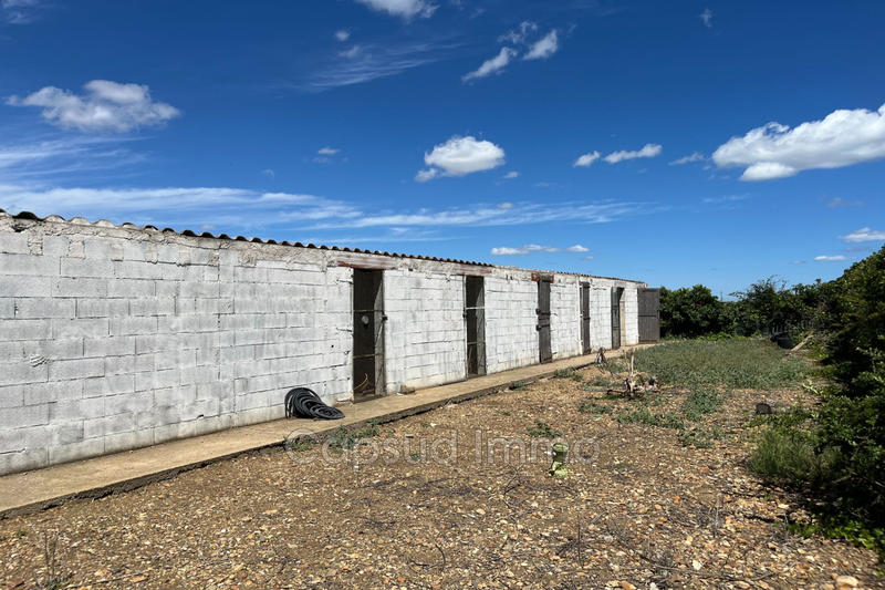 Maison - 124 m² - 5 pièces