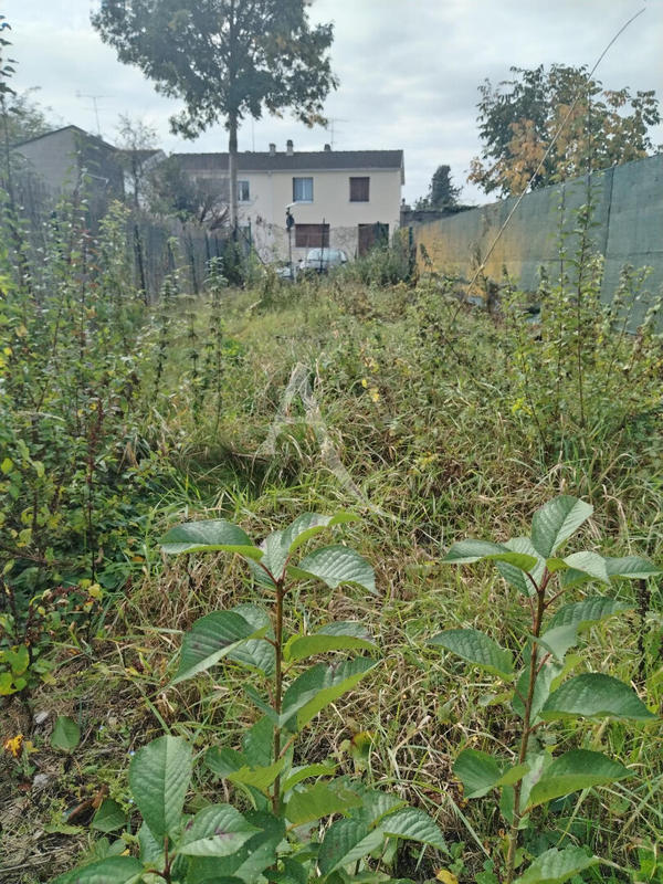 Maison - 52 m² - 4 pièces