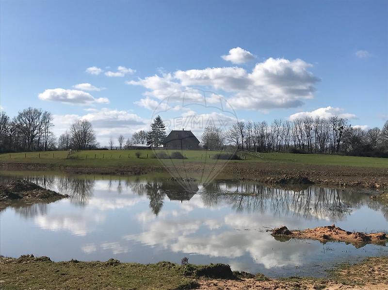 Ferme - 248 m² - 9 pièces