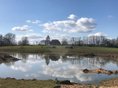 Ferme - 248 m² - 9 pièces