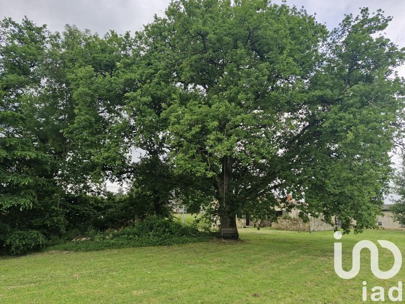 Maison de campagne - 180 m² - 3 pièces