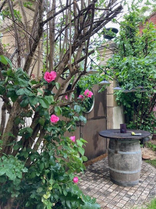 Maison - 290 m² - 8 pièces