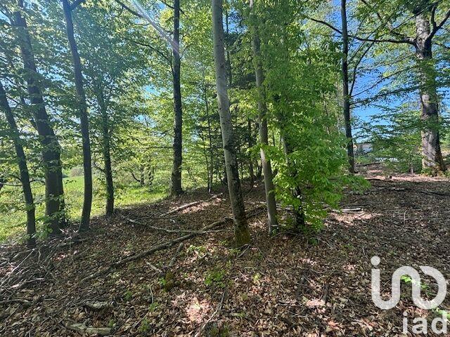 Châlet - 130 m² - 4 pièces