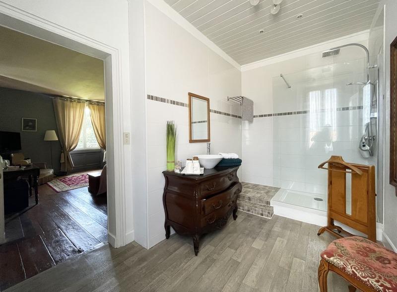 Château - 700 m² - 22 pièces