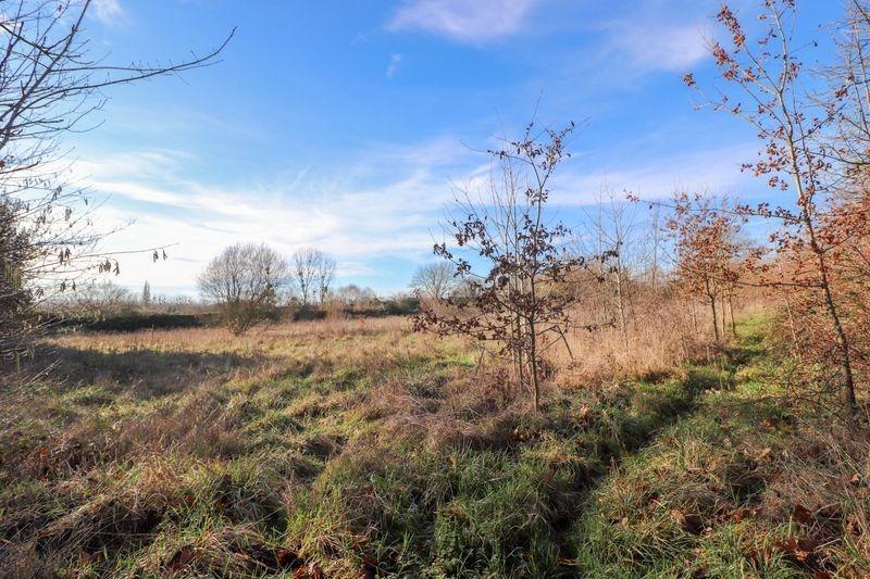 Manoir - 2 000 m² - 40 pièces