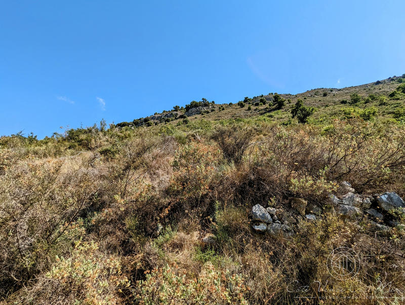 Terrain - 68 490 m²