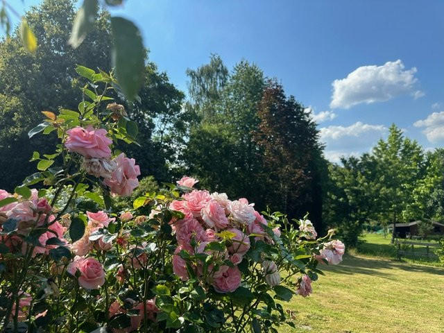 Maison - 247 m² - 8 pièces