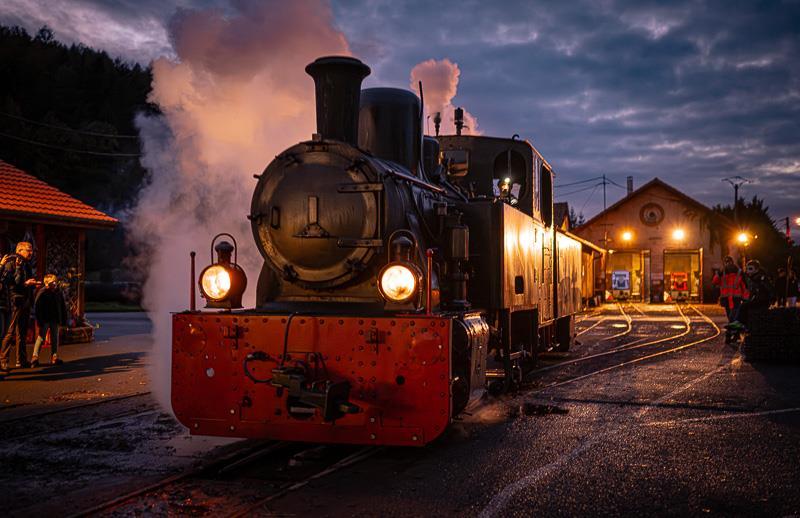Nuit de l'horreur au train forestier