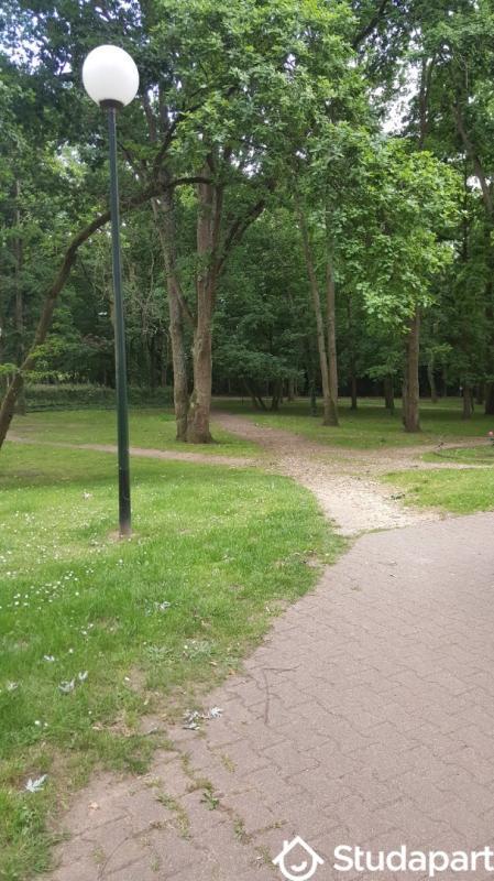 Chambre - 15 m² - 1 pièce