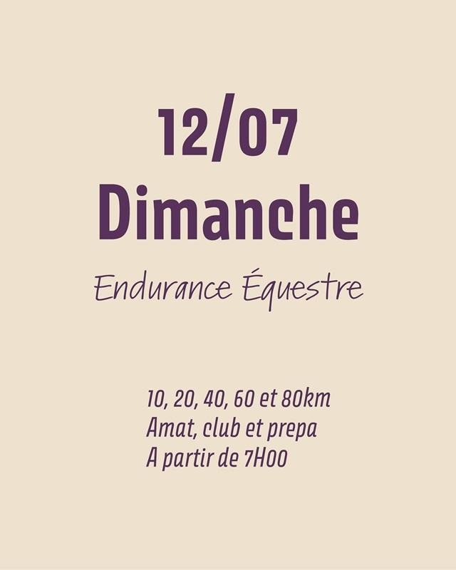 Trail et endurance équestre