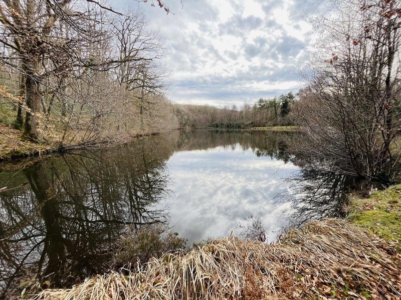 Terrain de loisirs - 6 500 m²