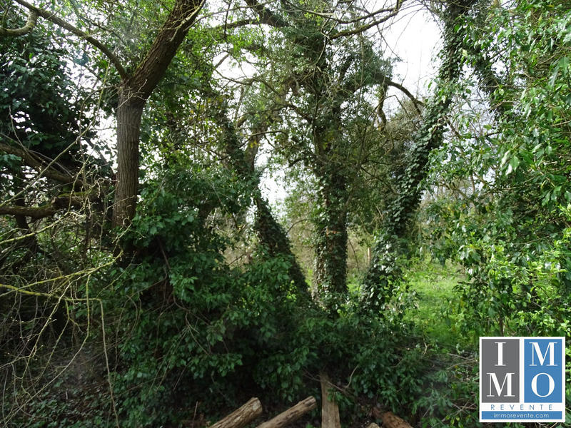 Terrain - 20 176 m²