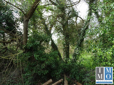 Terrain - 20 176 m²