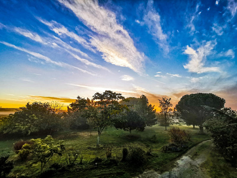 Propriété - 230 m² - 7 pièces