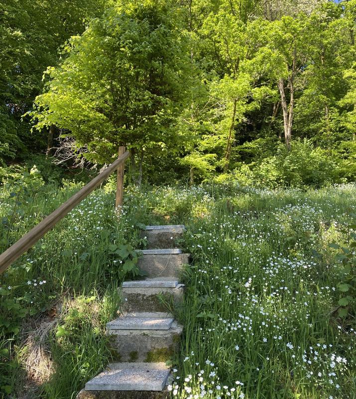 Maison ancienne - 125 m² - 6 pièces