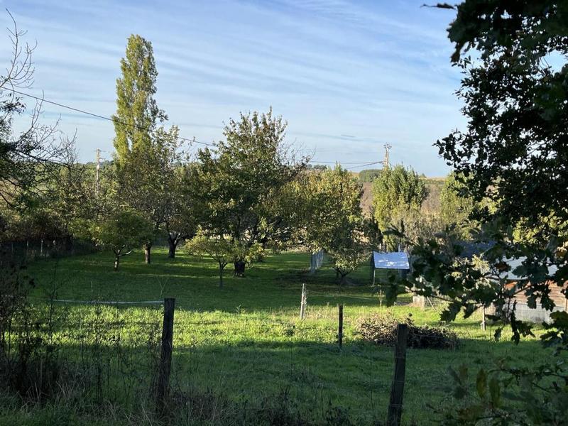 Maison en pierre - 355 m² - 11 pièces