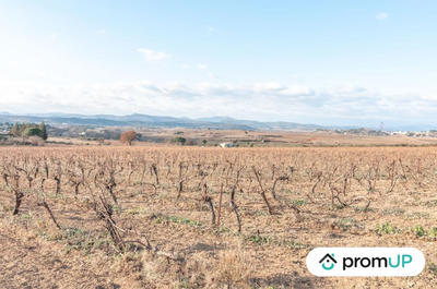 Terrain agricole - 57 000 m²