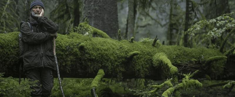 Film - le chant des forêts